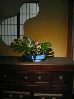 20110930-ikebana