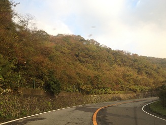 湯河原パークウェイの紅葉